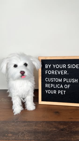 This image ad features a plush replica of a dog sitting next to a letter board with the text, “By your side forever. Cus