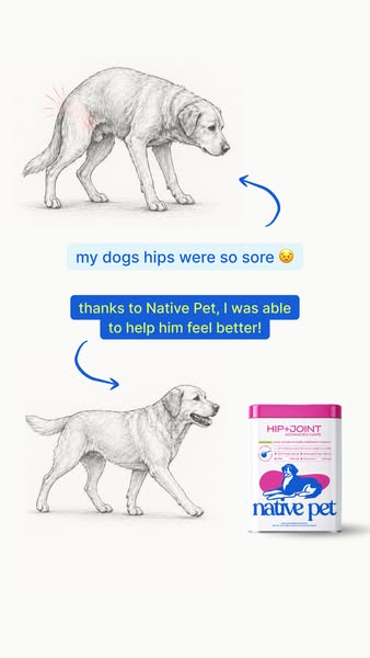 Native Pet ad