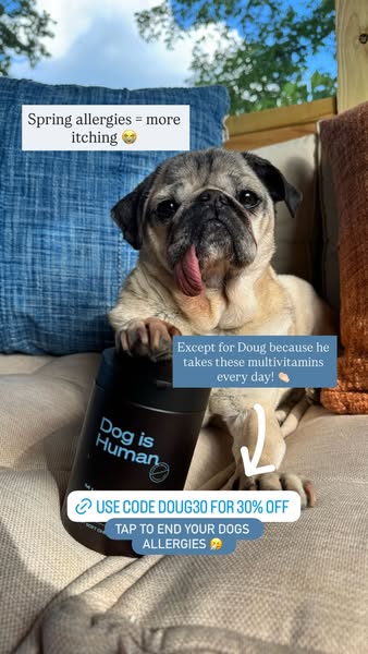 Doug The Pug ad