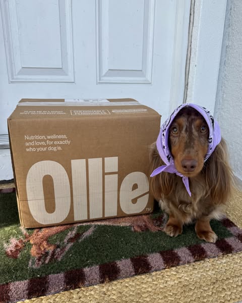 Indytheminidoxie ad