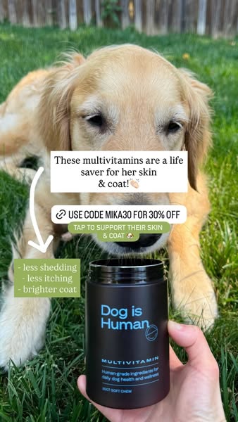 Goldenpup.mika ad