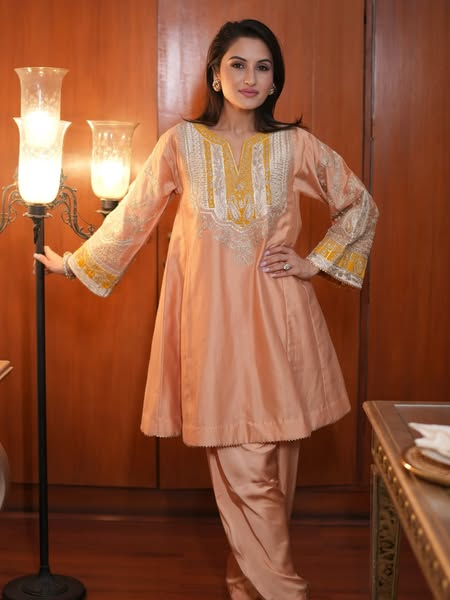 PayalSen ad