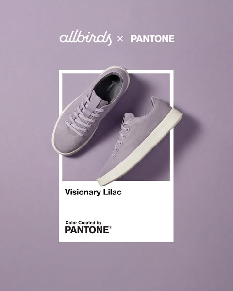 This image ad showcases a collaboration between Allbirds and Pantone, featuring a lavender-colored shoe against a lavend