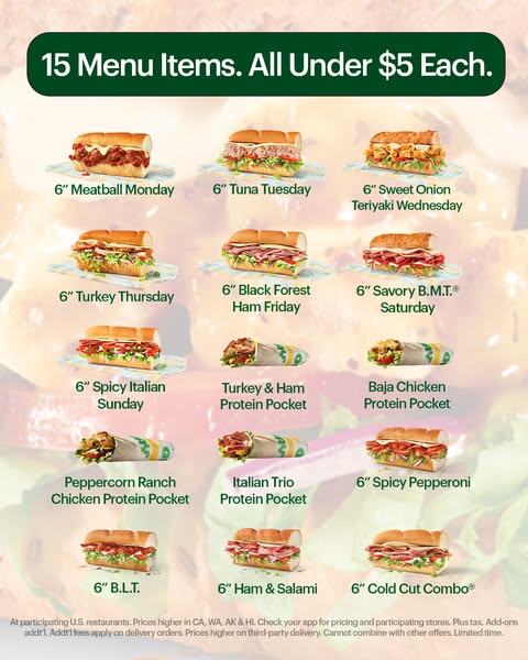 This image ad from Subway promotes their menu items that are all under $5. Fifteen menu items are displayed on a grid.
