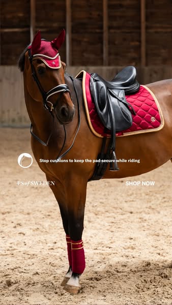 This ad for PS of Sweden showcases the brand's horse riding equipment, specifically a saddle pad with stop cushions.
