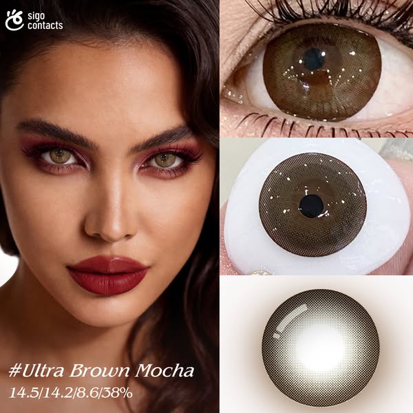 sigocontacts_official ad