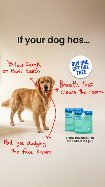 Native Pet ad