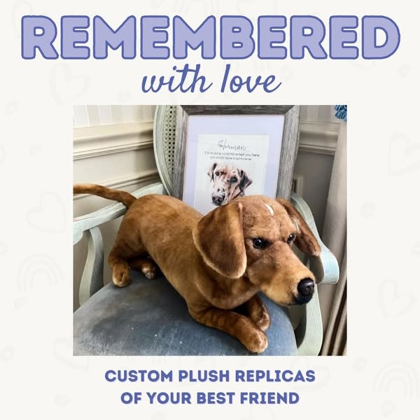 The ad promotes a service that creates custom plush replicas of people's pets. The image shows an example of a plush