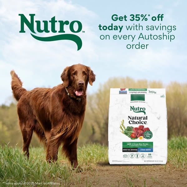 A landscape shot shows a dog with a bag of Nutro Natural Choice dog food. The ad highlights a 35% discount on autoship o
