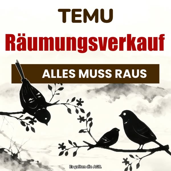 This image ad for Temu promotes a clearance sale with the message "Everything Must Go." The ad features a trad