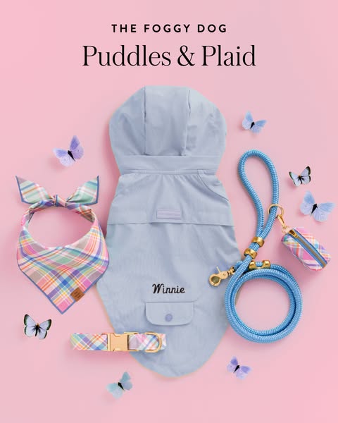 This ad for The Foggy Dog showcases a matching set of pet accessories including a raincoat, bandana, collar, leash, and 