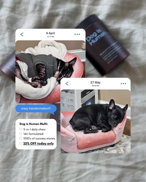 Dog is Human ad