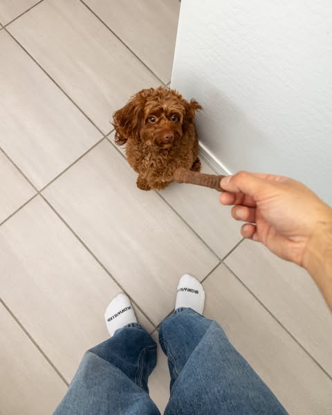 Silvz ad