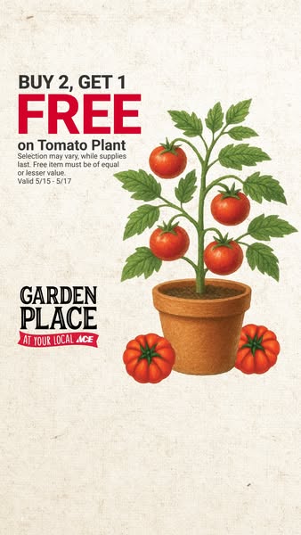 This image ad promotes tomato plants at Garden Place, a local Ace Hardware store, with a buy-two-get-one-free offer for