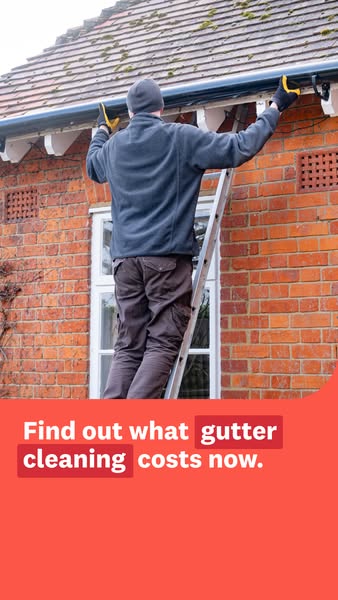 This image ad focuses on the costs of gutter cleaning and shows a man cleaning the gutters on a brick house.