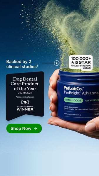 This ad promotes PetLab Co.'s ProBright Advanced dental powder for dogs. It emphasizes the product's clinical ba