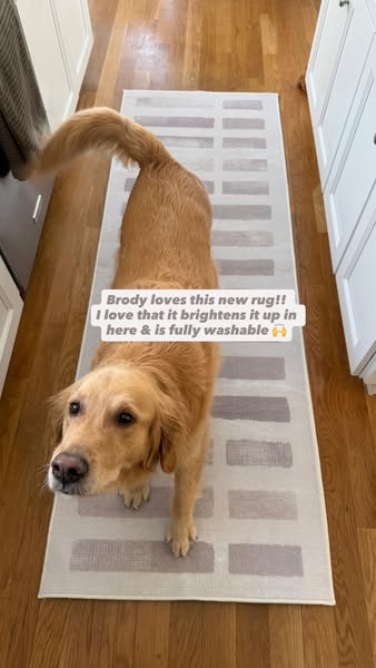 This image ad features a dog on top of a new rug. The dog appears to love the rug, and the implication is that if the do