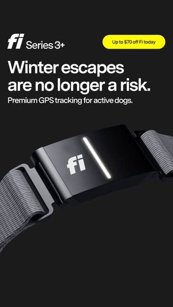 This ad for Fi Series 3+ GPS dog collars highlights the risk of dogs escaping during the winter and positions the collar