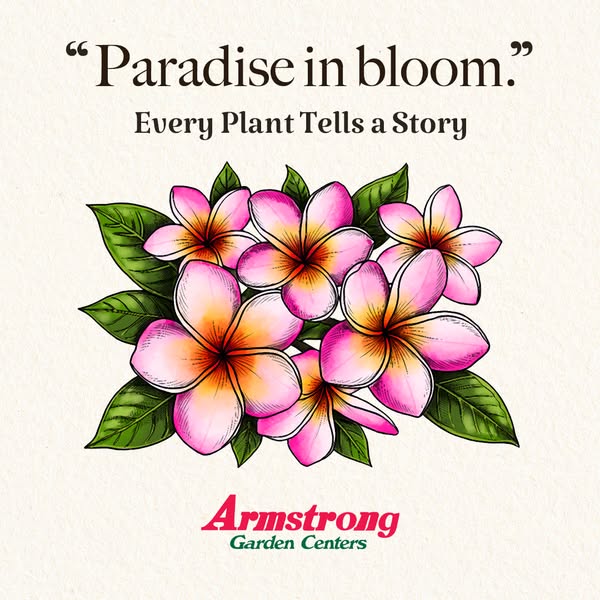 Armstrong Garden Centers ad
