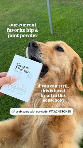 Dog is Human ad