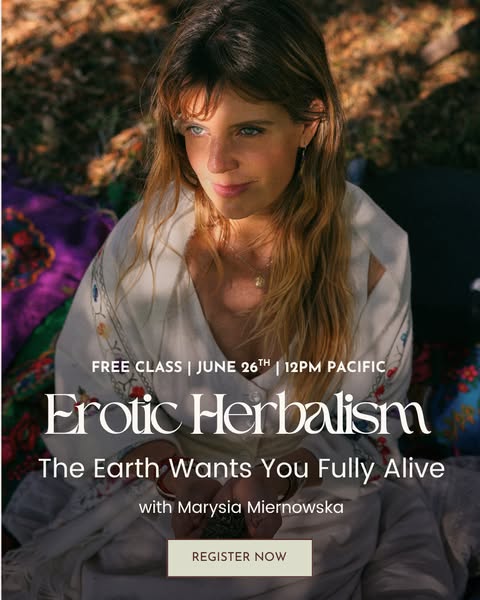 School of the Sacred Wild : Regenerative Healing for Earth & People ad