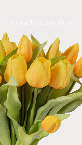 The ad features a close-up view of yellow tulips with the text overlay “Spring is In Full Bloom”.