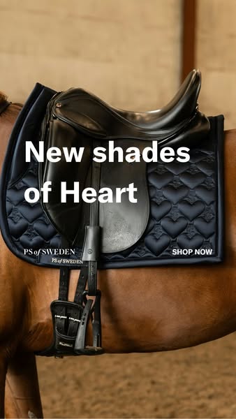 This image ad showcases a black PS of Sweden saddle pad with a quilted heart pattern, designed for horseback riding. The