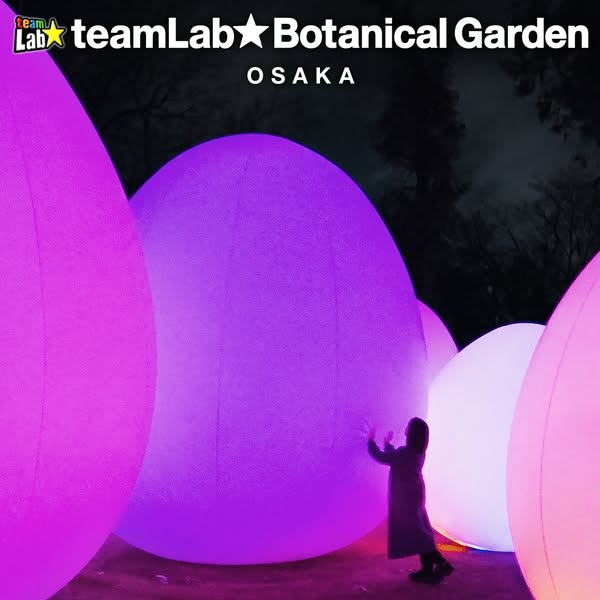 This image ad promotes the teamLab Botanical Garden in Osaka, featuring a person interacting with the illuminated botani