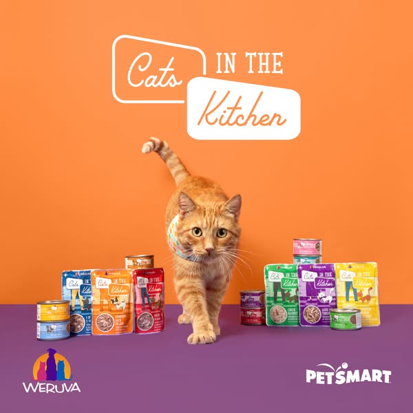This ad showcases Weruva's 'Cats in the Kitchen' wet cat food line. An orange tabby cat walks toward the cam