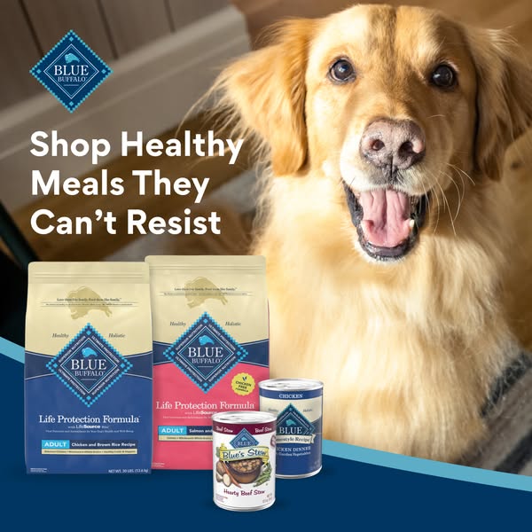 A Meta ad for Blue Buffalo dog food, featuring the brand's dry food and canned stew products arranged on a blue surf