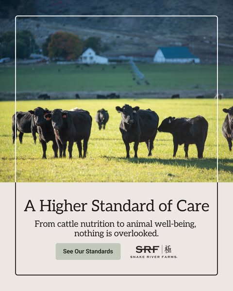 This image ad for Snake River Farms features a picturesque field of cattle with a message that highlights the brand'