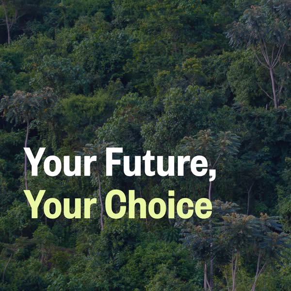 Ecosia ad