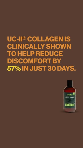 This ad promotes Wuffes Joint Liquid, highlighting its clinical effectiveness in reducing discomfort within 30 days usin