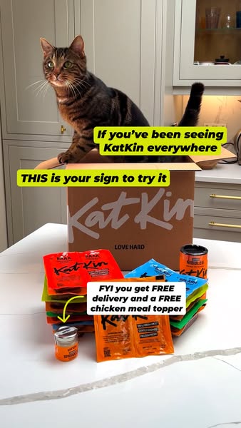 This image ad for KatKin cat food features a tabby cat sitting inside a box of KatKin food surrounded by a variety of Ka