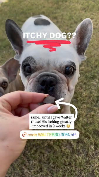 Walter Geoffrey ad