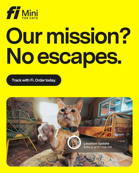 This ad for Fi Mini cat collars features a bright yellow background with the claim "Our mission? No escapes." 