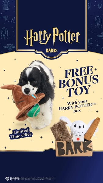 This ad promotes a Harry Potter-themed BarkBox for dogs, highlighting a limited-time offer for a free bonus toy.
