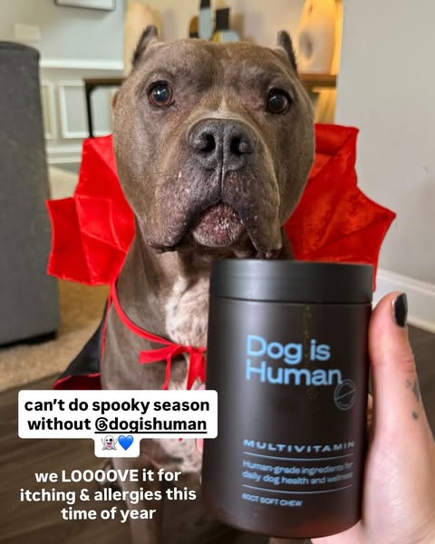 Dog is Human ad