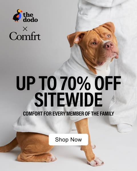 The Dodo ad
