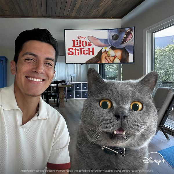 Aaron's Animals ad