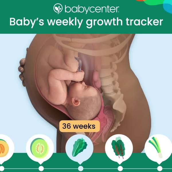 babycenter ad