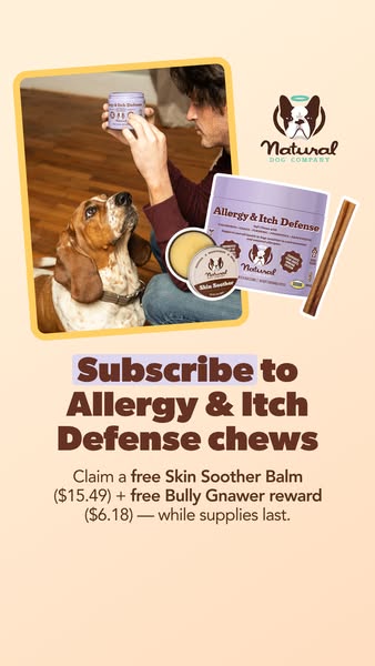 This image ad promotes Natural Dog Company's Allergy & Itch Defense chews. It features a person with a dog, with