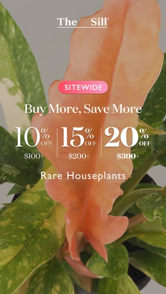 This image ad for The Sill promotes rare houseplants and a sitewide offer to 'Buy More, Save More' depending on 