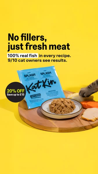 This ad promotes KatKin cat food, emphasizing its use of fresh meat and real fish without fillers. It features a discoun