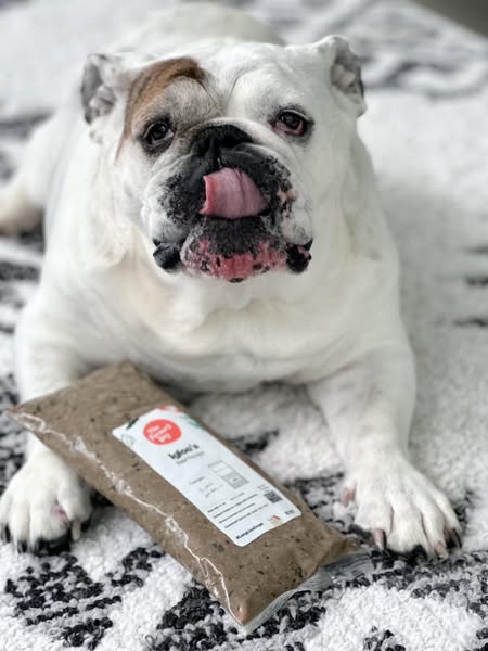Eggnogthebulldog ad