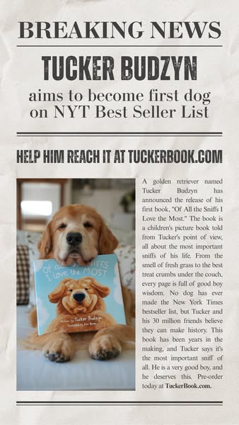 Tucker Budzyn ad