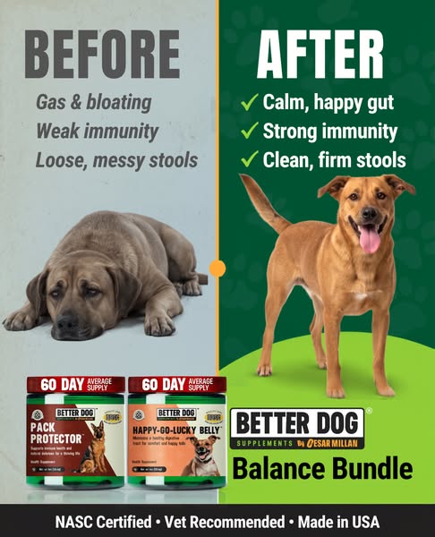 Cesar Millan ad