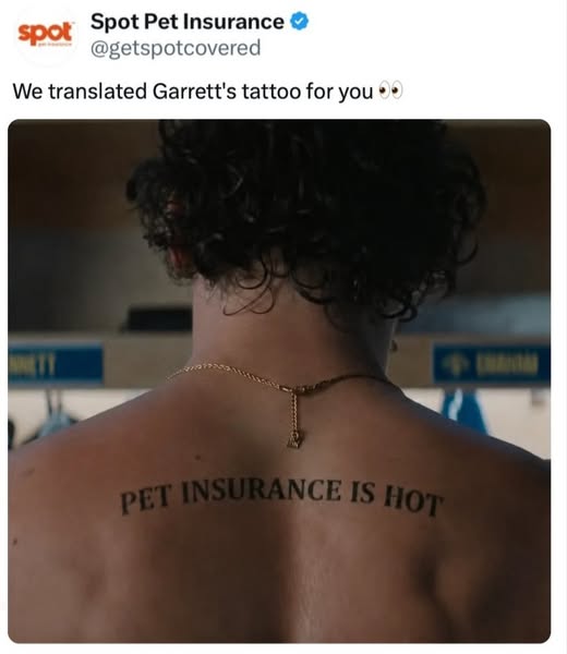 Spot Pet Insurance ad