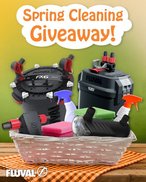This ad announces a spring cleaning giveaway for Fluval aquarium products. The ad features multiple products arranged in