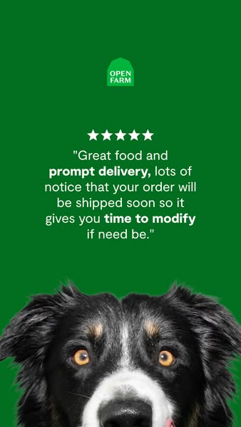 This image ad features a positive customer testimonial praising the quality of the brand's food and delivery service